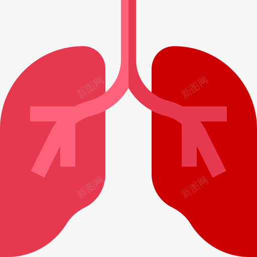 肺人体3扁平图标svg_新图网 https://ixintu.com 人体 扁平