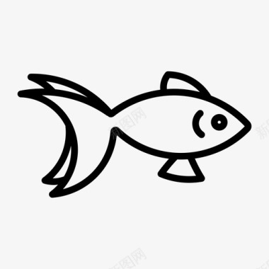 金鱼动物淡水鱼图标图标