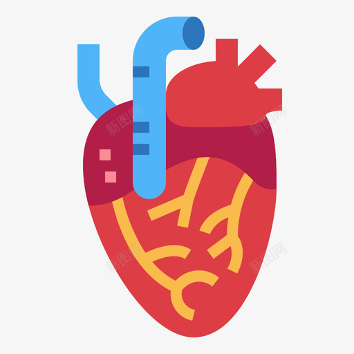 心脏人体器官5扁平图标svg_新图网 https://ixintu.com 人体 器官 心脏 扁平