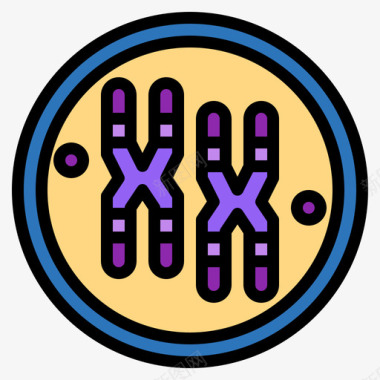染色体人器官6线状颜色图标图标