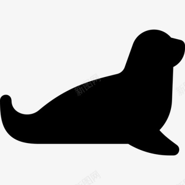 海豹野生动物6填充图标图标