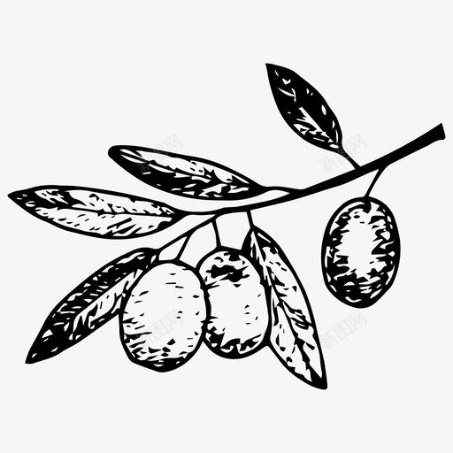 橄榄枝手绘图标svg_新图网 https://ixintu.com 手绘 橄榄枝