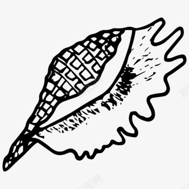 贝壳蛤蜊手工绘制图标图标