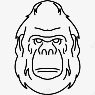 大猩猩动物金刚图标