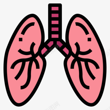 肺人体器官6线色图标图标