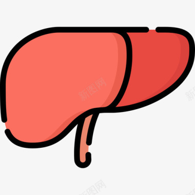 肝人体5线色图标