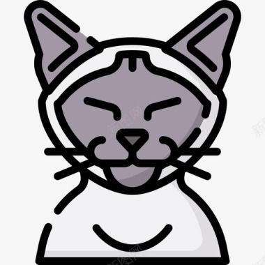 猫猫9线颜色图标