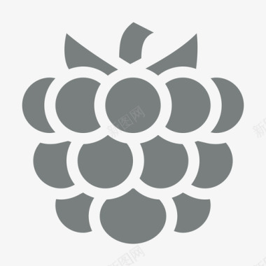 icons8-raspberry图标