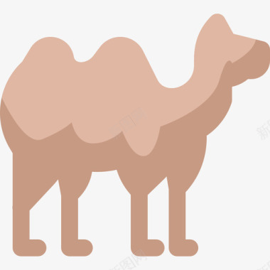骆驼野生动物5扁平图标