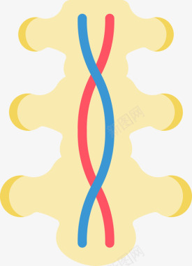 脊髓神经扁平图标