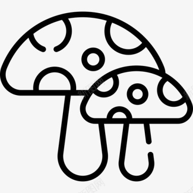 蘑菇51号疗法直系图标
