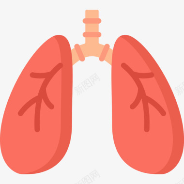 肺人体6扁平图标
