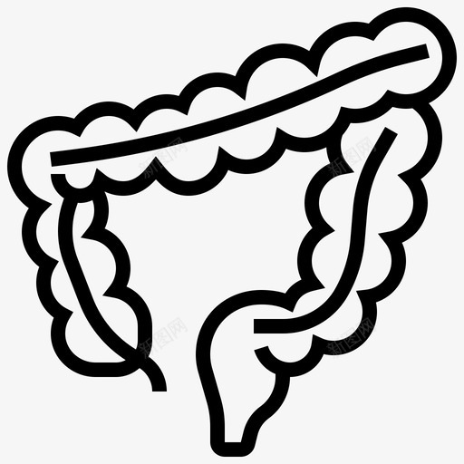 大肠人体器官15线状svg_新图网 https://ixintu.com 大肠 人体 器官 线状
