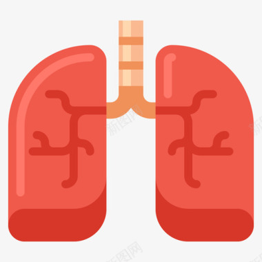 肺解剖学13扁平图标