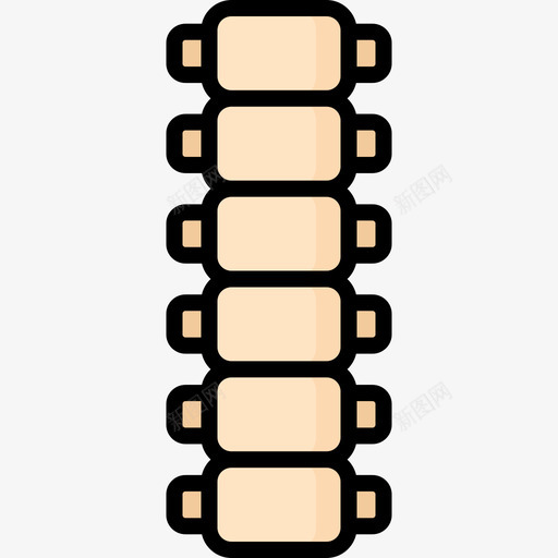 脊柱人体5线颜色svg_新图网 https://ixintu.com 脊柱 人体 颜色