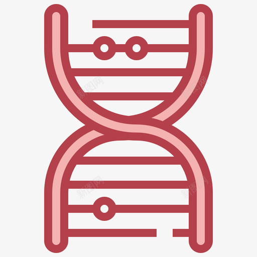 Dna结构科学9红色svg_新图网 https://ixintu.com Dna 结构 科学 红色