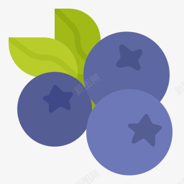 蓝莓水果30扁平图标
