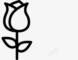 玫瑰花视频视频页-玫瑰花高清图片