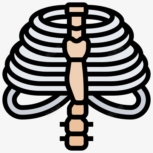 胸部人体器官17线色svg_新图网 https://ixintu.com 胸部 人体 器官 线色