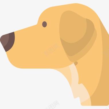 金毛猎犬犬种15扁平图标