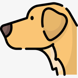 13种金毛猎犬犬种13种线形颜色高清图片