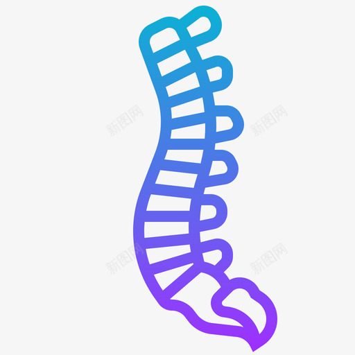 脊柱人体器官16梯度svg_新图网 https://ixintu.com 脊柱 人体 器官 梯度