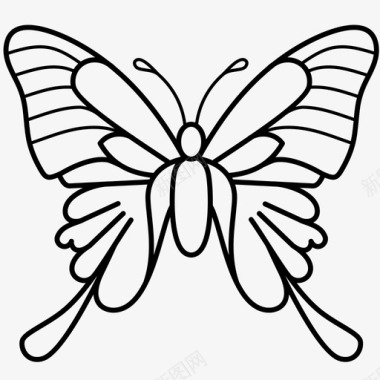 蝴蝶装饰昆虫图标