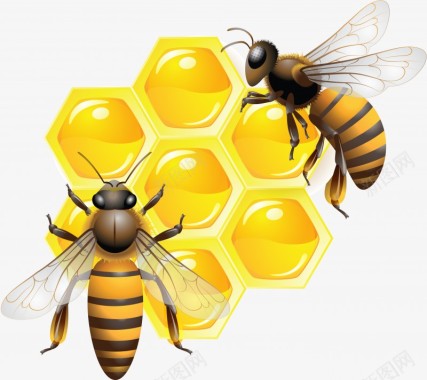 我的蜂蜜矢量蜜蜂honey863545716509图标