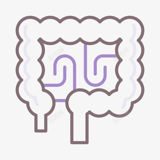 消化解剖学12线状颜色svg_新图网 https://ixintu.com 消化 解剖学 线状 颜色