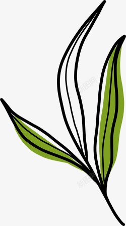 手绘植物插画图免扣绿植高清图片素材