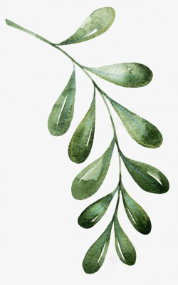 水彩手绘绿色植物叶子花藤美工合集格式收集持续更新素材
