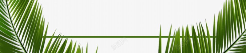 的旅程树叶装饰边框踏青透明绿叶边框6创意边框png免抠素材_新图网 https://ixintu.com 写实 创意 图案 树叶 植物 绿叶 装饰 边框 透明 风格