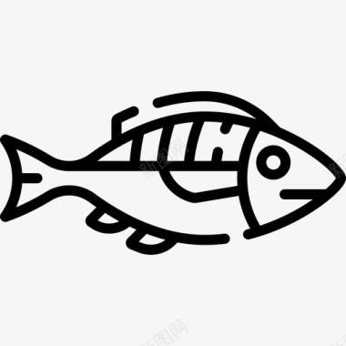 鱼类营养21直系图标