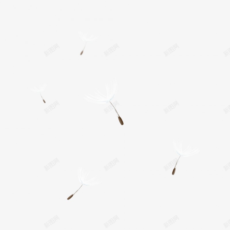 手绘卡通蒲公英森系png免抠素材_新图网 https://ixintu.com 手绘 卡通 蒲公英 森系