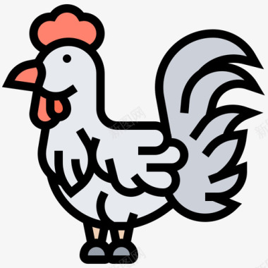 鸡肉养殖105原色图标
