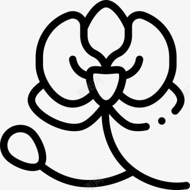 兰花自然花线状图标