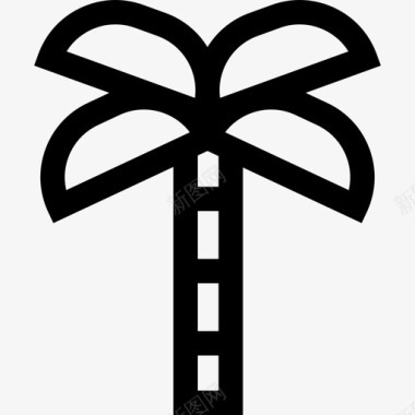 棕榈树树22线形图标