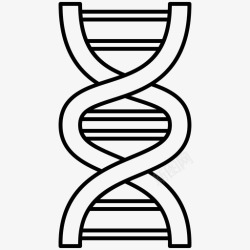 人体分子dna染色体遗传高清图片