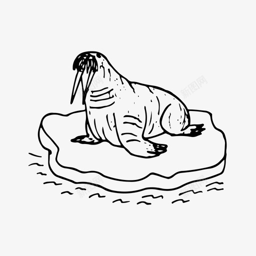 海象动物浮冰svg_新图网 https://ixintu.com 海象 动物 浮冰 自然 海洋 手工 绘制