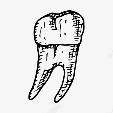 牙齿人类医学图标