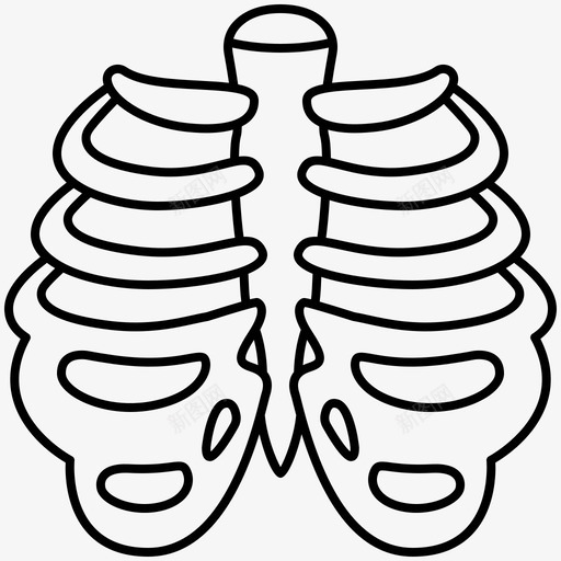 骨骼骨科肋骨svg_新图网 https://ixintu.com 人体 器官 肋骨 胸部 胸骨 音调 骨科 骨骼