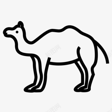 骆驼动物骆驼动物动物骆驼画图标