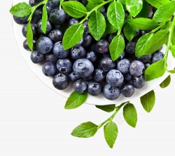 免扣透明水果蓝莓楠哒二哒哒小瓜果素菜水果水气泡小装素材