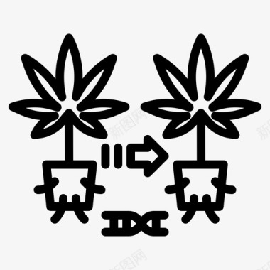 克隆大麻12直系图标