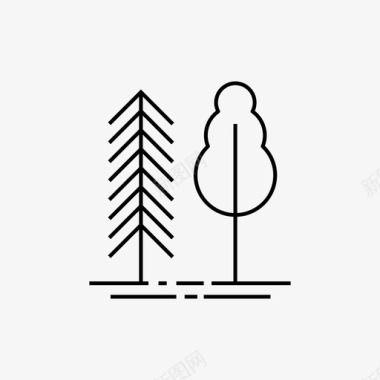 树木冷杉森林图标