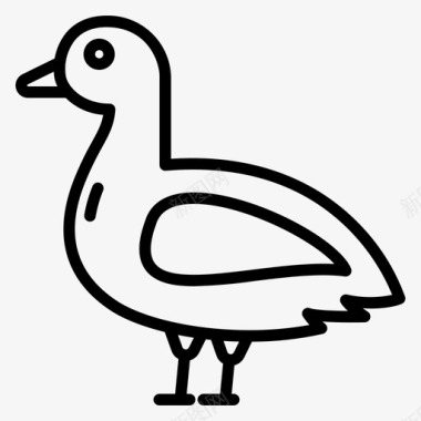 鸭子宠物13直系图标