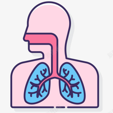 呼吸系统解剖学11线性颜色图标