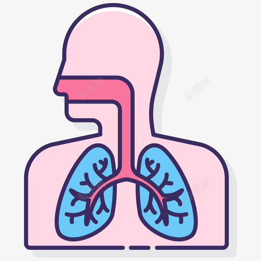 呼吸系统解剖学11线性颜色svg_新图网 https://ixintu.com 呼吸系统 解剖学 线性 颜色