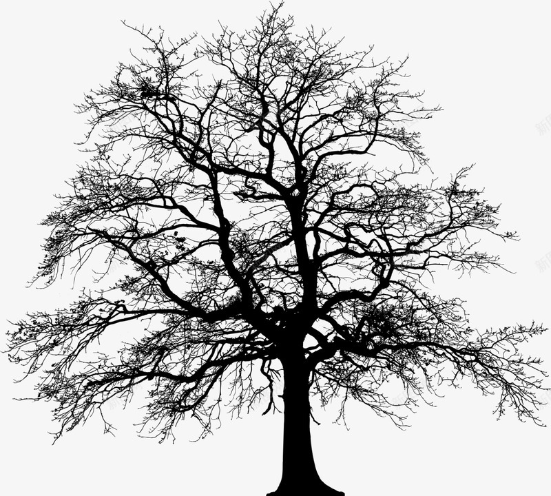 免费静物图片树设计公众号图片树免费淘宝图片树树侧影png免抠素材_新图网 https://ixintu.com 图片 免费 静物 设计 公众 淘宝 树树 侧影