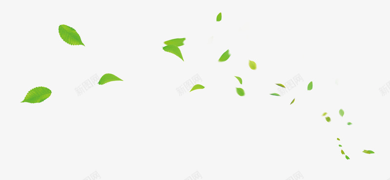 绿色茶叶树叶漂浮素材png免抠素材_新图网 https://ixintu.com 绿色漂浮茶叶 绿叶漂浮 绿色树叶 叶子 树叶 茶叶